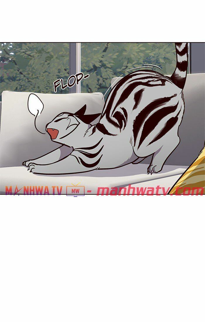 đọc truyện Hóa Thân Thành Mèo Chương 37 ảnh 43 tại Thiên Thai Truyện