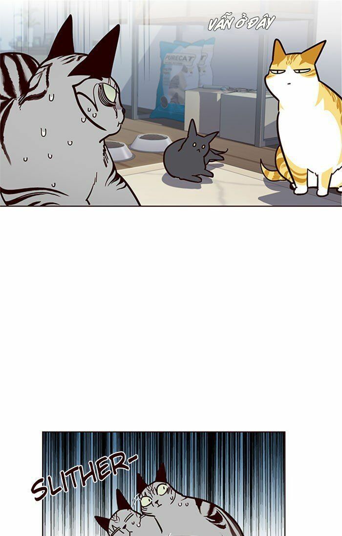 đọc truyện Hóa Thân Thành Mèo Chương 37 ảnh 45 tại Thiên Thai Truyện