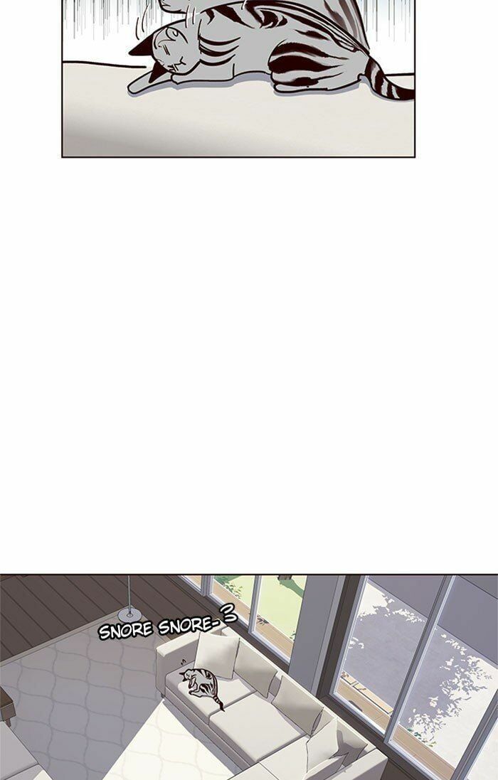 đọc truyện Hóa Thân Thành Mèo Chương 37 ảnh 46 tại Thiên Thai Truyện