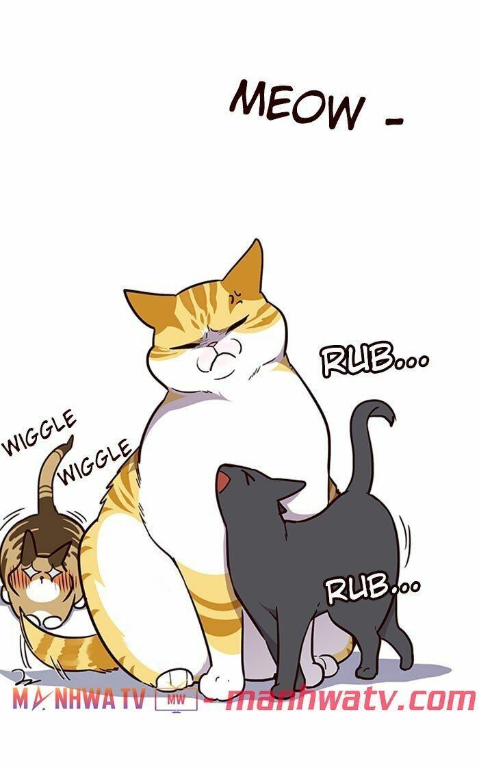 đọc truyện Hóa Thân Thành Mèo Chương 37 ảnh 52 tại Thiên Thai Truyện