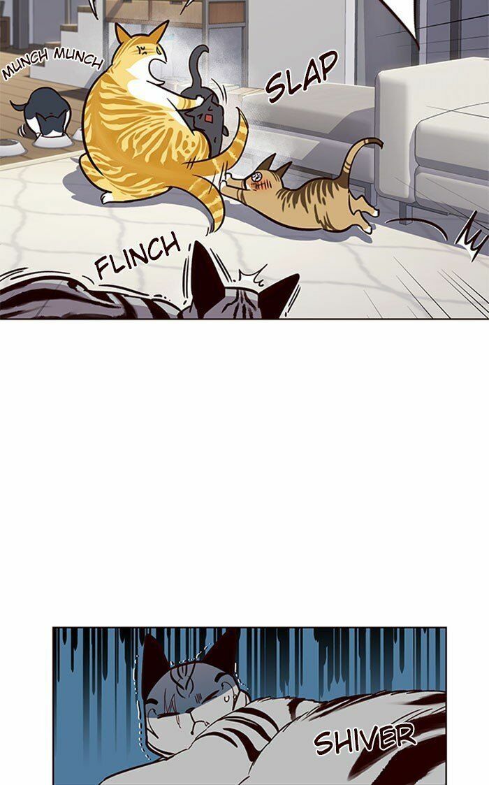 đọc truyện Hóa Thân Thành Mèo Chương 37 ảnh 54 tại Thiên Thai Truyện