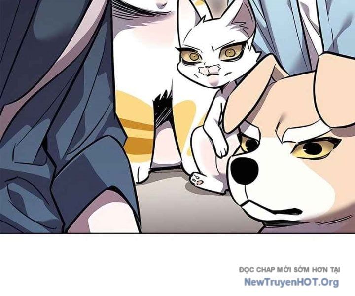 đọc truyện Hóa Thân Thành Mèo Chương 370 ảnh 104 tại Thiên Thai Truyện