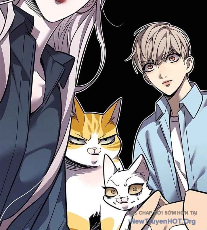 đọc truyện Hóa Thân Thành Mèo Chương 370 ảnh 106 tại Thiên Thai Truyện