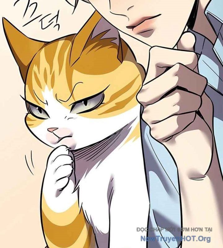 đọc truyện Hóa Thân Thành Mèo Chương 370 ảnh 116 tại Thiên Thai Truyện