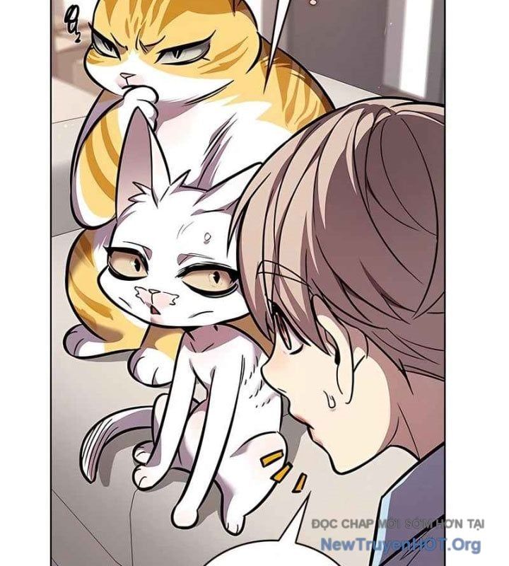 đọc truyện Hóa Thân Thành Mèo Chương 370 ảnh 122 tại Thiên Thai Truyện