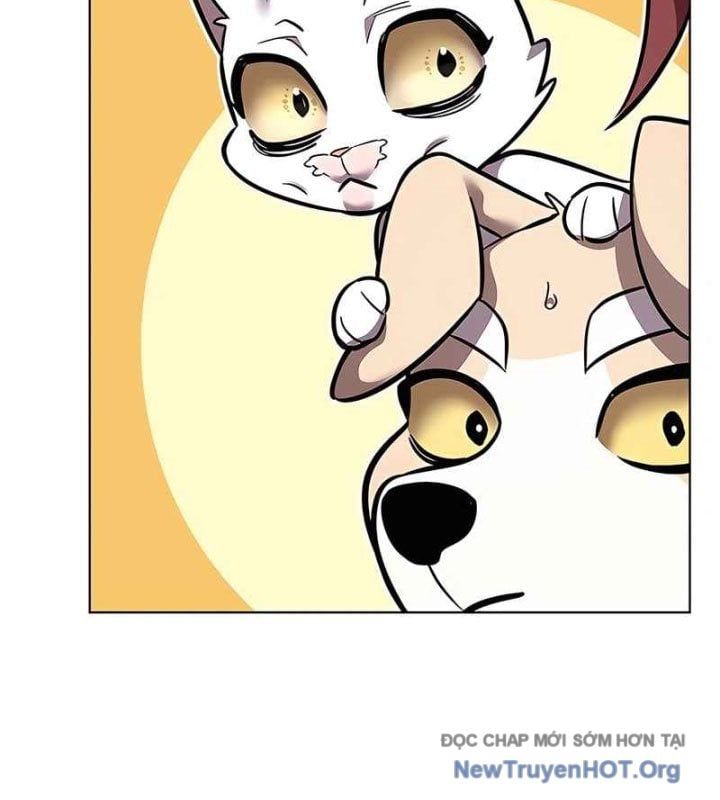 đọc truyện Hóa Thân Thành Mèo Chương 370 ảnh 134 tại Thiên Thai Truyện