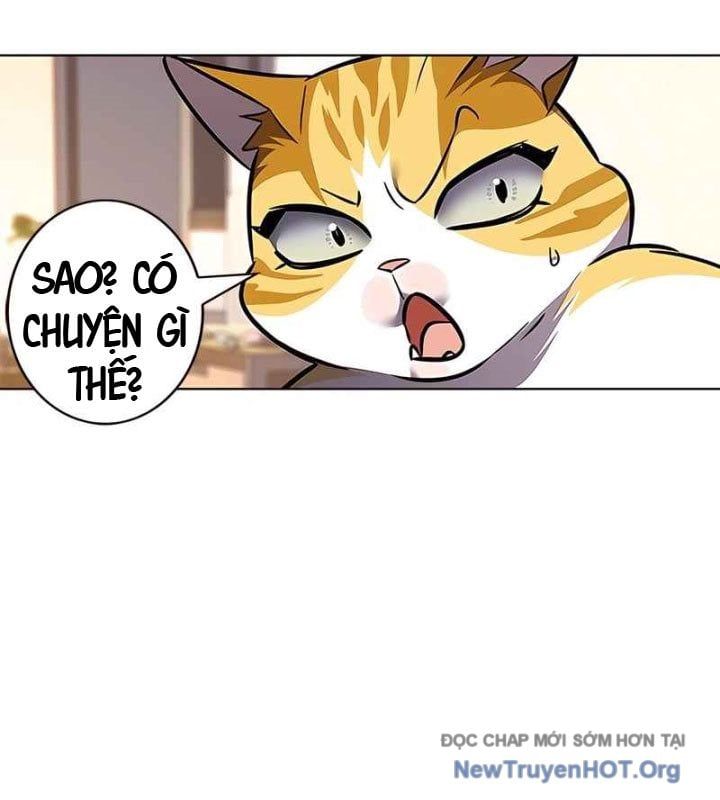 đọc truyện Hóa Thân Thành Mèo Chương 370 ảnh 146 tại Thiên Thai Truyện