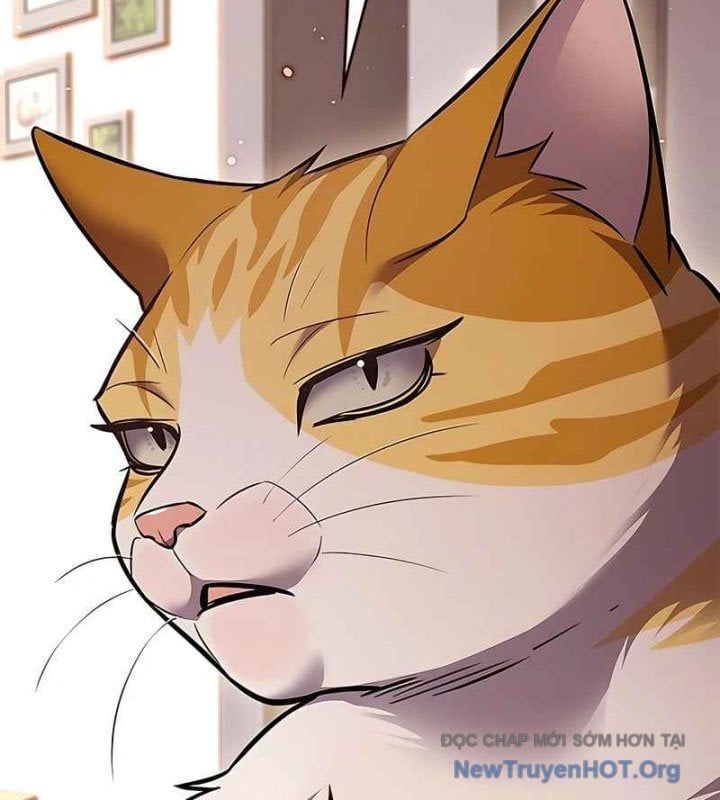 đọc truyện Hóa Thân Thành Mèo Chương 370 ảnh 164 tại Thiên Thai Truyện