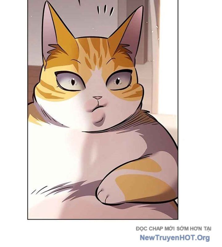 đọc truyện Hóa Thân Thành Mèo Chương 370 ảnh 169 tại Thiên Thai Truyện