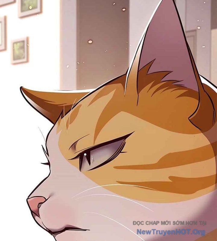 đọc truyện Hóa Thân Thành Mèo Chương 370 ảnh 175 tại Thiên Thai Truyện