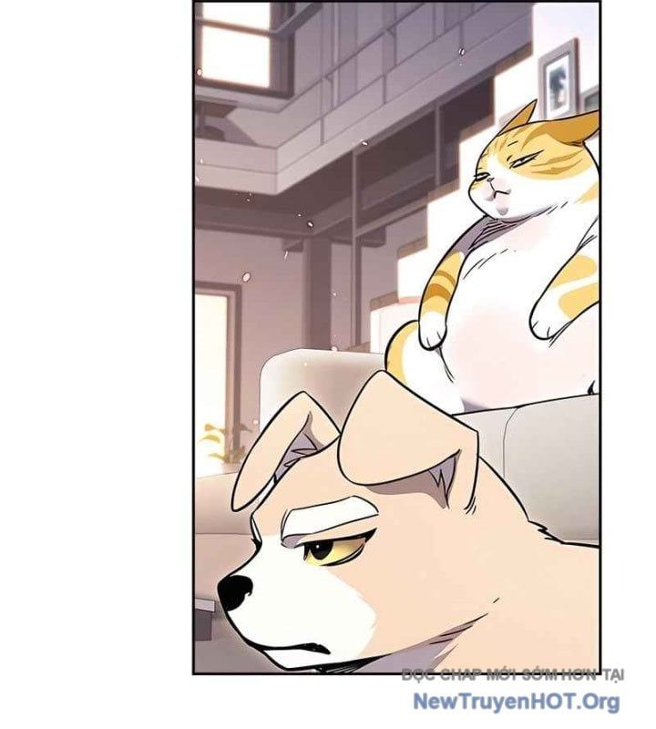 đọc truyện Hóa Thân Thành Mèo Chương 370 ảnh 53 tại Thiên Thai Truyện