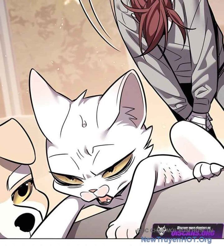 đọc truyện Hóa Thân Thành Mèo Chương 370 ảnh 65 tại Thiên Thai Truyện