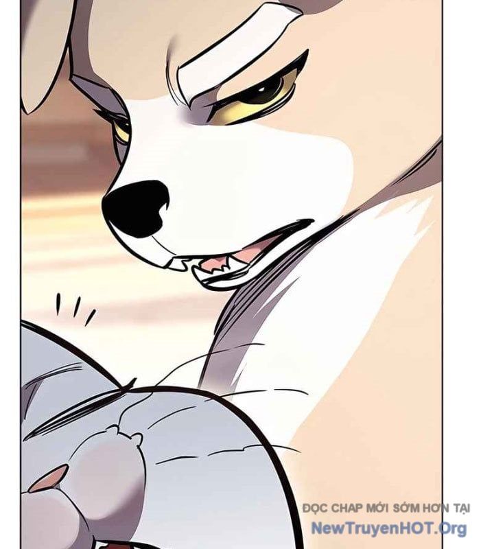 đọc truyện Hóa Thân Thành Mèo Chương 370 ảnh 75 tại Thiên Thai Truyện