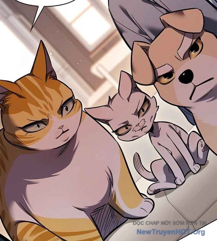 đọc truyện Hóa Thân Thành Mèo Chương 370 ảnh 98 tại Thiên Thai Truyện