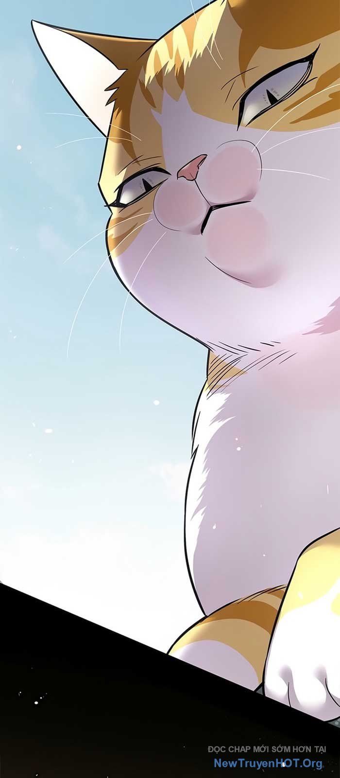 đọc truyện Hóa Thân Thành Mèo Chương 371 ảnh 25 tại Thiên Thai Truyện