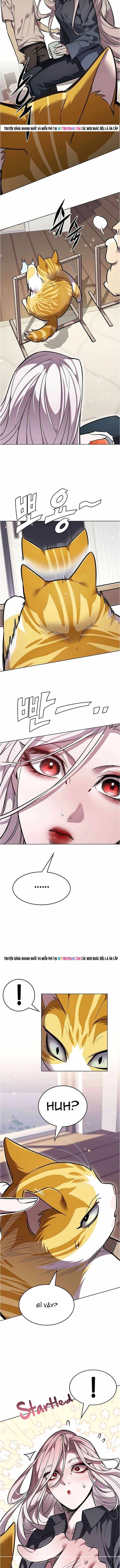 đọc truyện Hóa Thân Thành Mèo Chương 376 ảnh 18 tại Thiên Thai Truyện