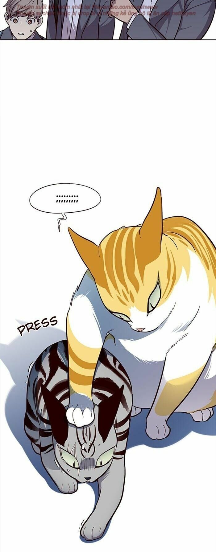 đọc truyện Hóa Thân Thành Mèo Chương 38 ảnh 24 tại Thiên Thai Truyện