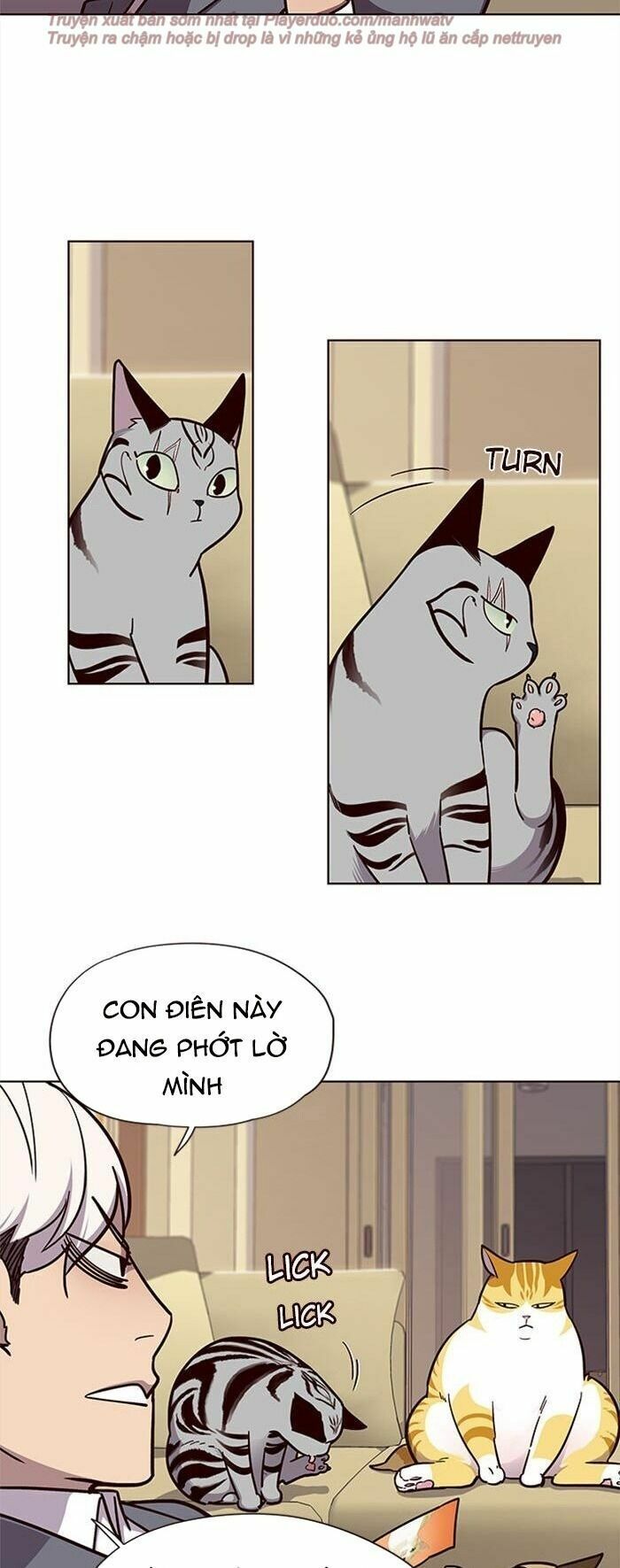 đọc truyện Hóa Thân Thành Mèo Chương 38 ảnh 37 tại Thiên Thai Truyện