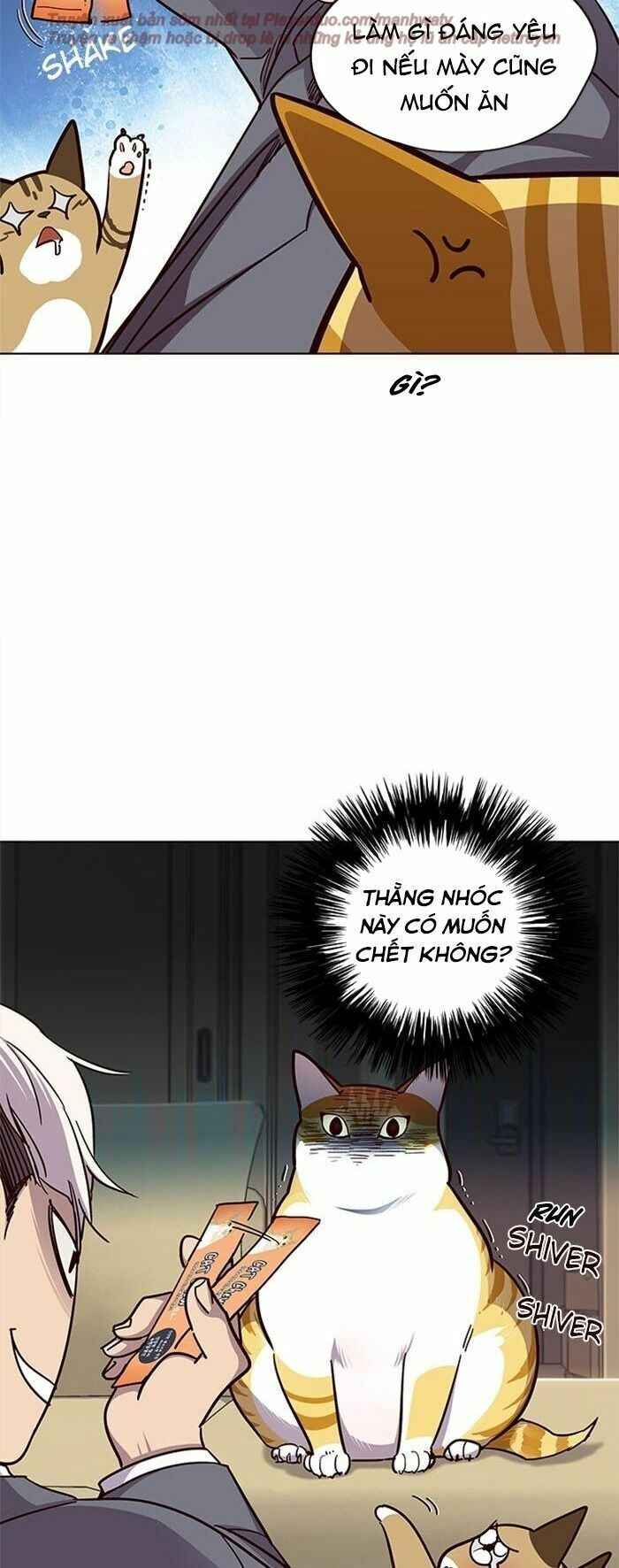 đọc truyện Hóa Thân Thành Mèo Chương 38 ảnh 39 tại Thiên Thai Truyện