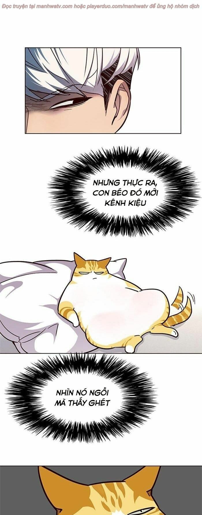 đọc truyện Hóa Thân Thành Mèo Chương 39 ảnh 10 tại Thiên Thai Truyện