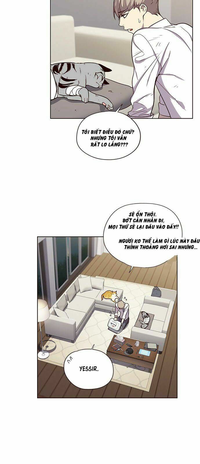 đọc truyện Hóa Thân Thành Mèo Chương 4 ảnh 12 tại Thiên Thai Truyện