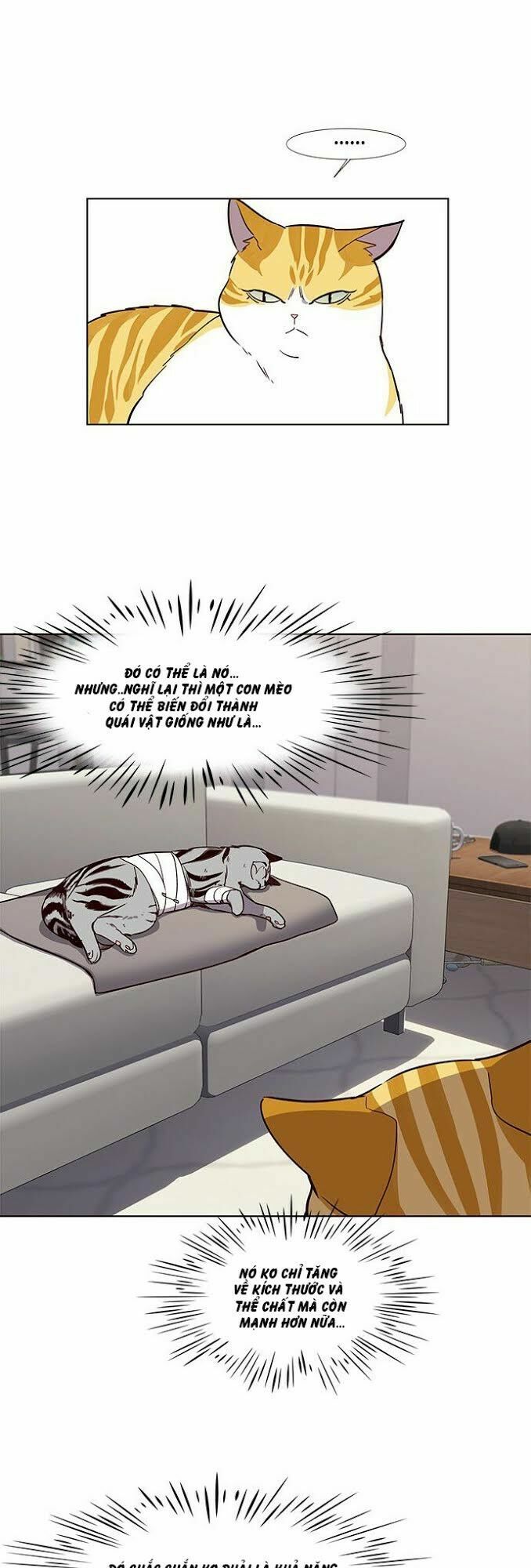 đọc truyện Hóa Thân Thành Mèo Chương 4 ảnh 13 tại Thiên Thai Truyện