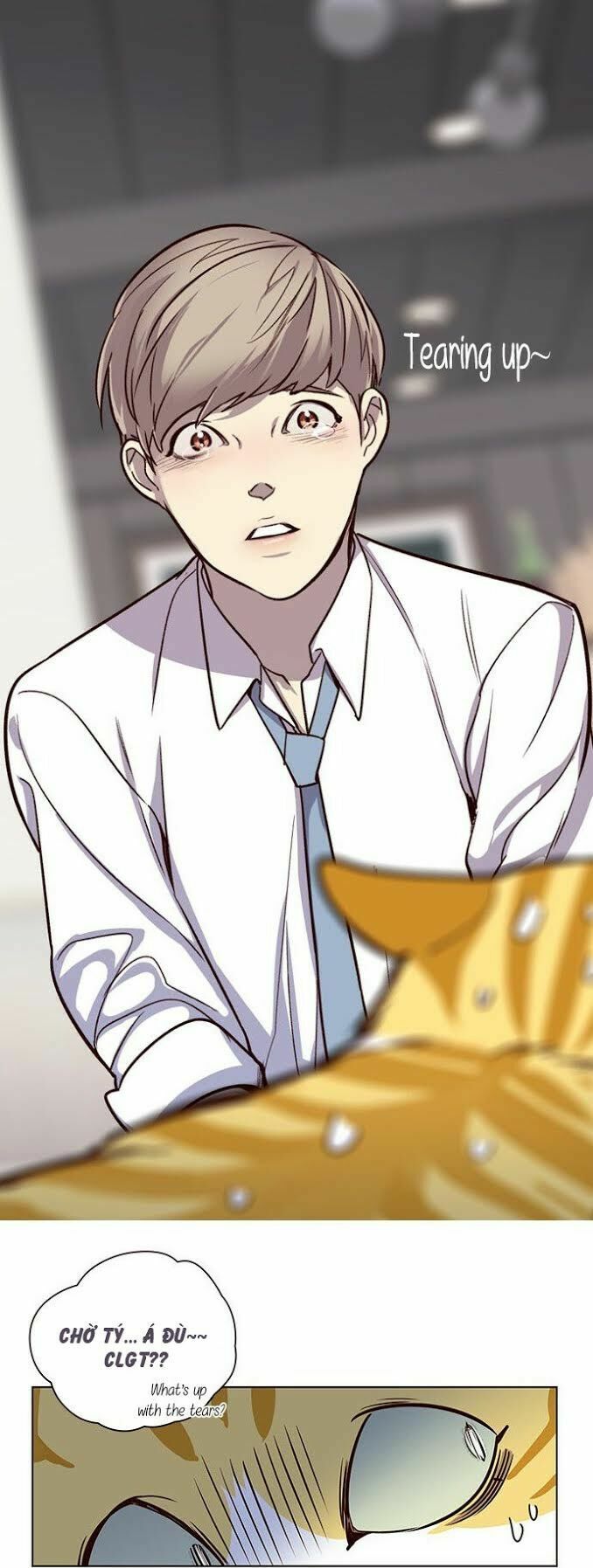 đọc truyện Hóa Thân Thành Mèo Chương 4 ảnh 23 tại Thiên Thai Truyện