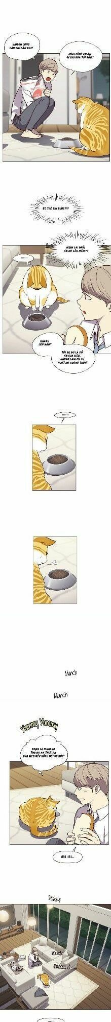 đọc truyện Hóa Thân Thành Mèo Chương 4 ảnh 37 tại Thiên Thai Truyện