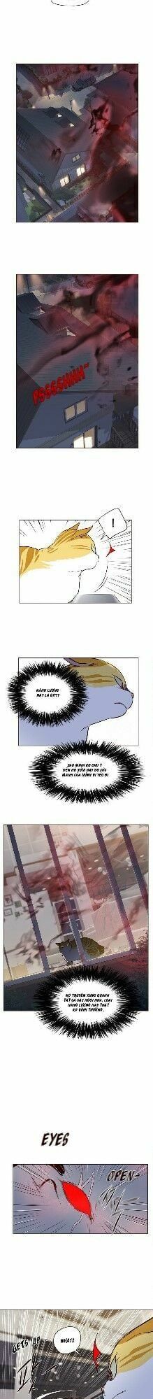 đọc truyện Hóa Thân Thành Mèo Chương 4 ảnh 38 tại Thiên Thai Truyện