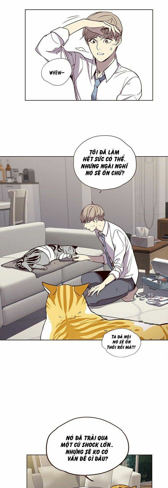 đọc truyện Hóa Thân Thành Mèo Chương 4 ảnh 10 tại Thiên Thai Truyện