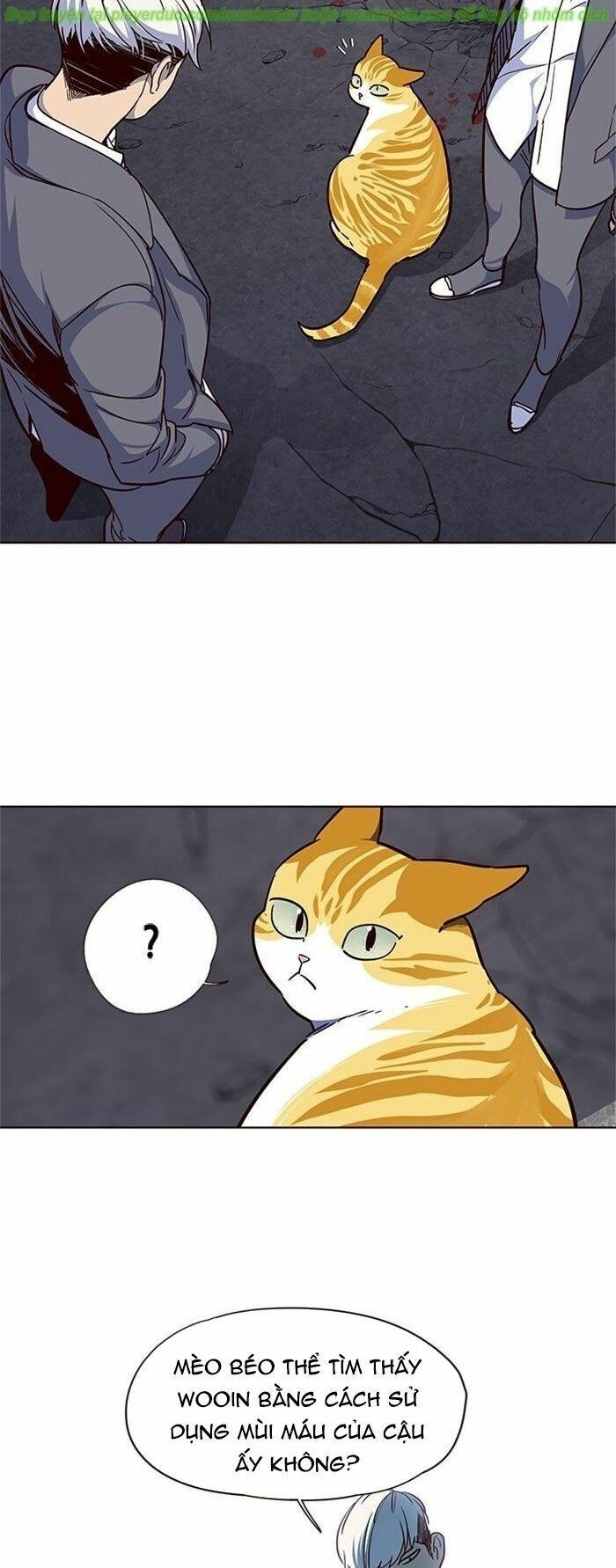 đọc truyện Hóa Thân Thành Mèo Chương 41 ảnh 36 tại Thiên Thai Truyện