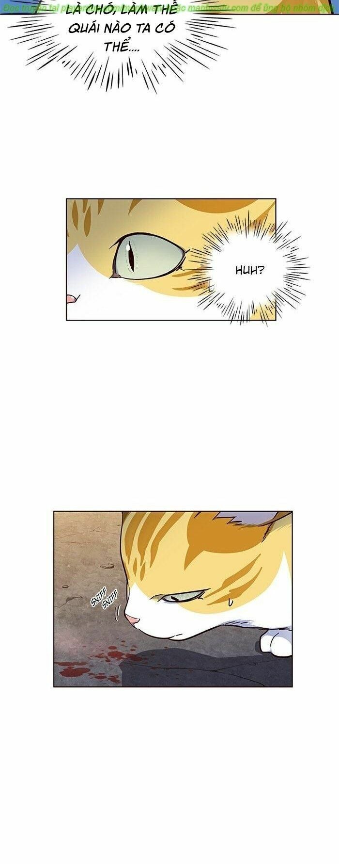 đọc truyện Hóa Thân Thành Mèo Chương 41 ảnh 38 tại Thiên Thai Truyện