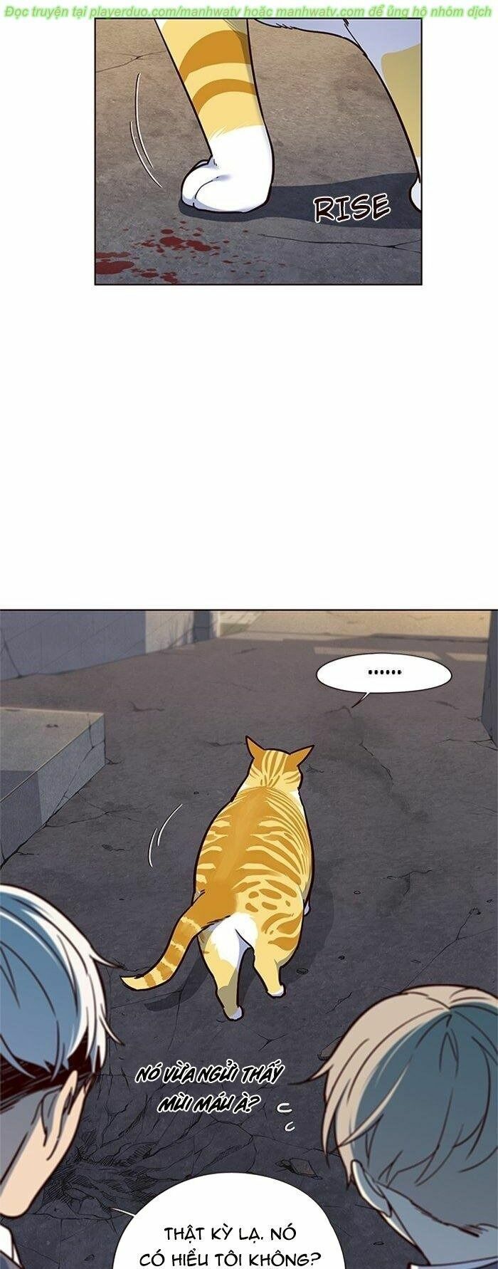 đọc truyện Hóa Thân Thành Mèo Chương 41 ảnh 39 tại Thiên Thai Truyện