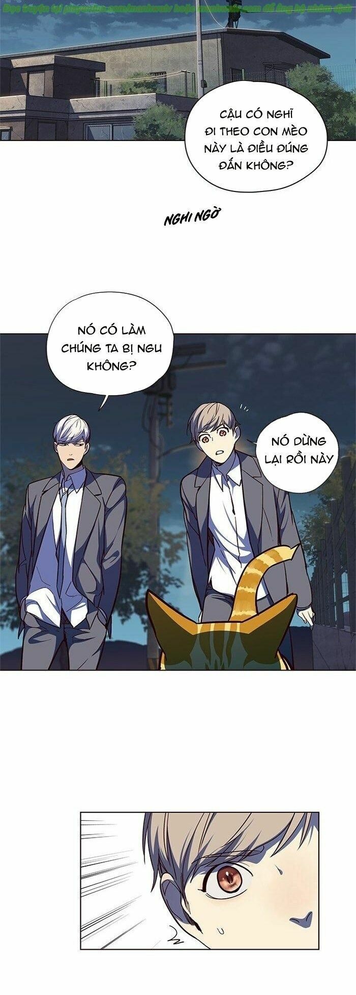 đọc truyện Hóa Thân Thành Mèo Chương 41 ảnh 50 tại Thiên Thai Truyện