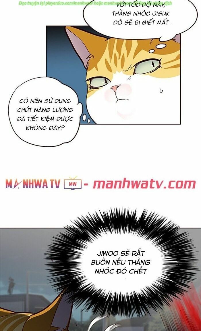 đọc truyện Hóa Thân Thành Mèo Chương 43 ảnh 54 tại Thiên Thai Truyện