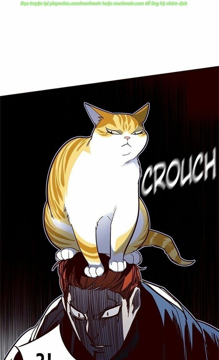 đọc truyện Hóa Thân Thành Mèo Chương 43 ảnh 62 tại Thiên Thai Truyện