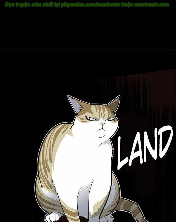 đọc truyện Hóa Thân Thành Mèo Chương 45 ảnh 75 tại Thiên Thai Truyện