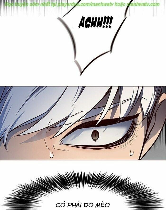 đọc truyện Hóa Thân Thành Mèo Chương 45 ảnh 78 tại Thiên Thai Truyện