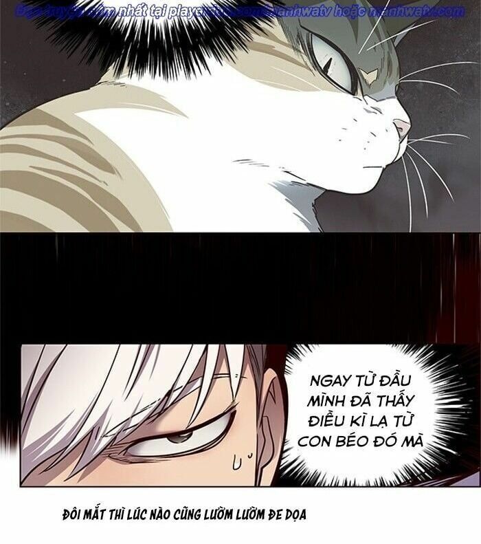 đọc truyện Hóa Thân Thành Mèo Chương 46 ảnh 52 tại Thiên Thai Truyện