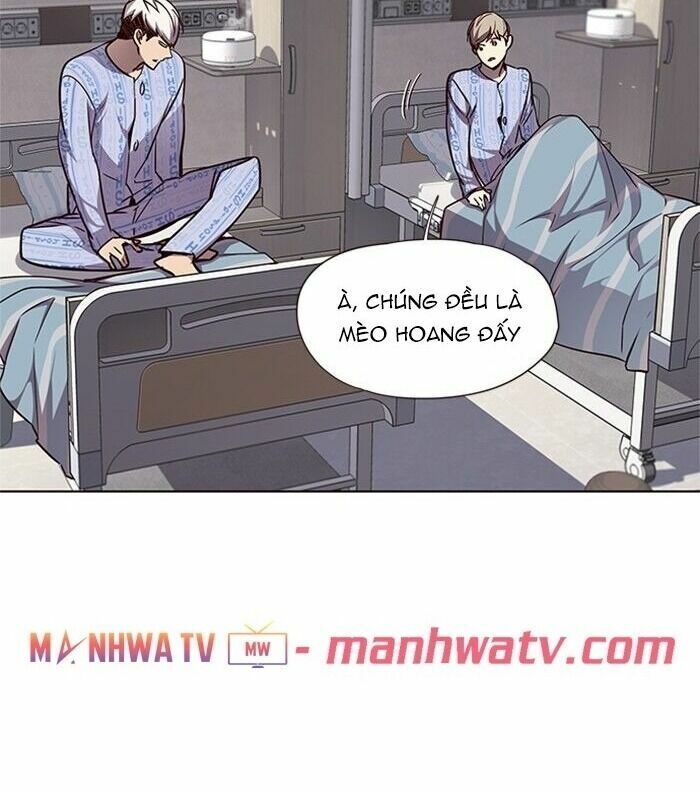 đọc truyện Hóa Thân Thành Mèo Chương 46 ảnh 57 tại Thiên Thai Truyện