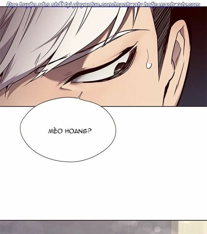 đọc truyện Hóa Thân Thành Mèo Chương 46 ảnh 58 tại Thiên Thai Truyện