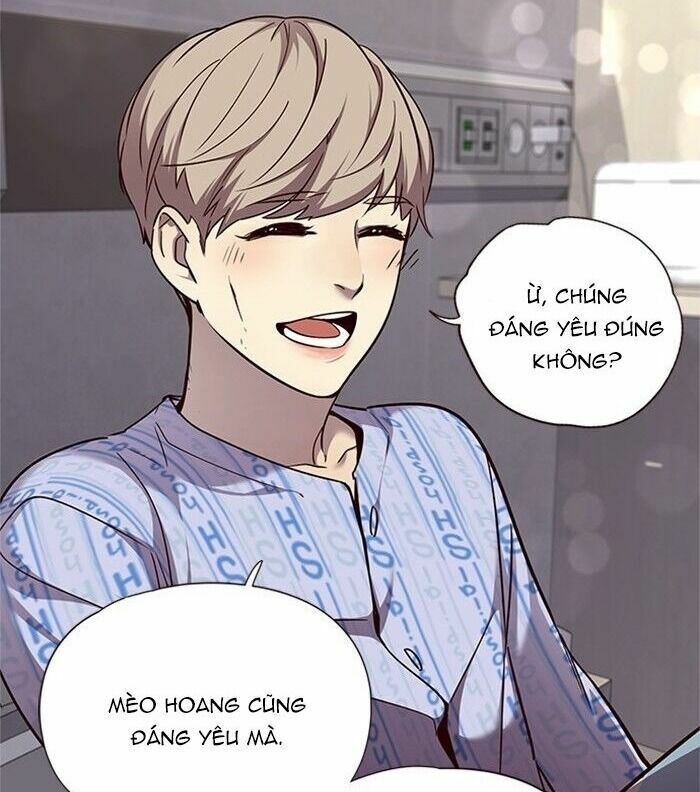 đọc truyện Hóa Thân Thành Mèo Chương 46 ảnh 59 tại Thiên Thai Truyện