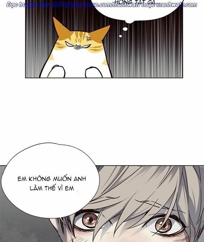 đọc truyện Hóa Thân Thành Mèo Chương 46 ảnh 90 tại Thiên Thai Truyện