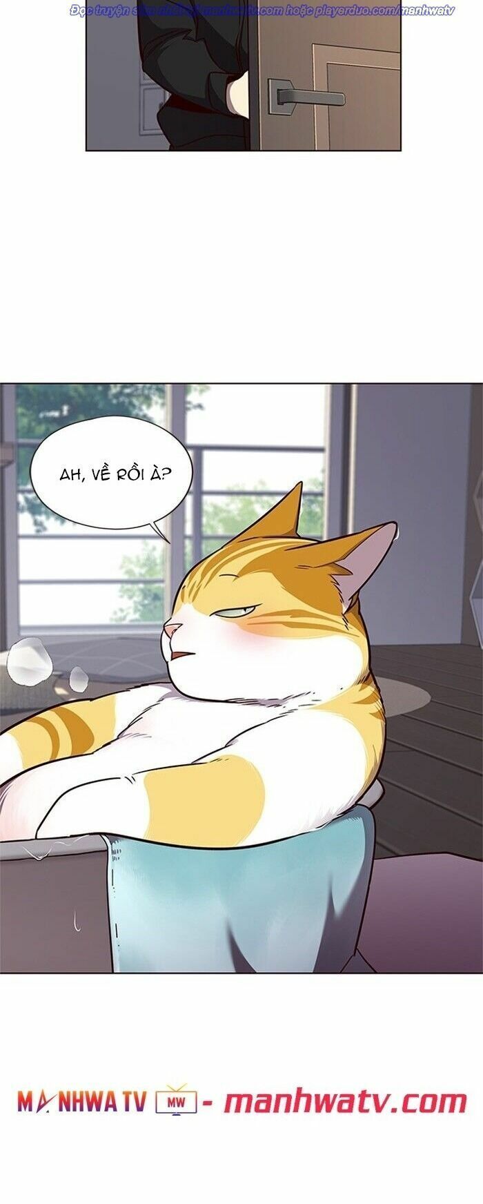 đọc truyện Hóa Thân Thành Mèo Chương 47 ảnh 29 tại Thiên Thai Truyện