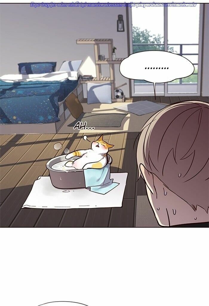 đọc truyện Hóa Thân Thành Mèo Chương 47 ảnh 30 tại Thiên Thai Truyện