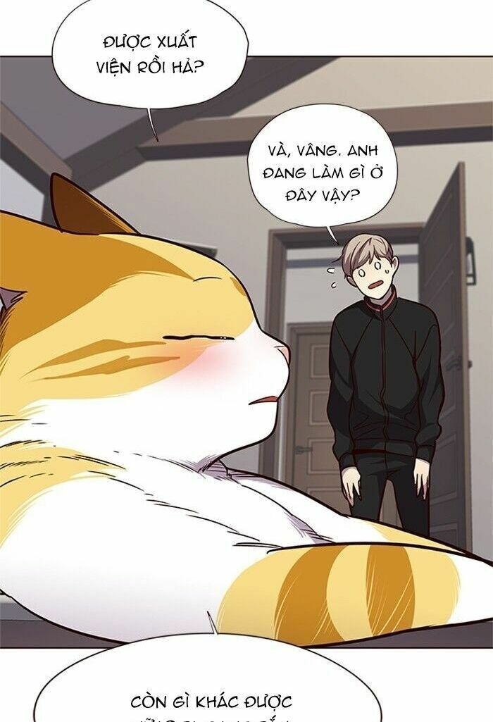 đọc truyện Hóa Thân Thành Mèo Chương 47 ảnh 31 tại Thiên Thai Truyện