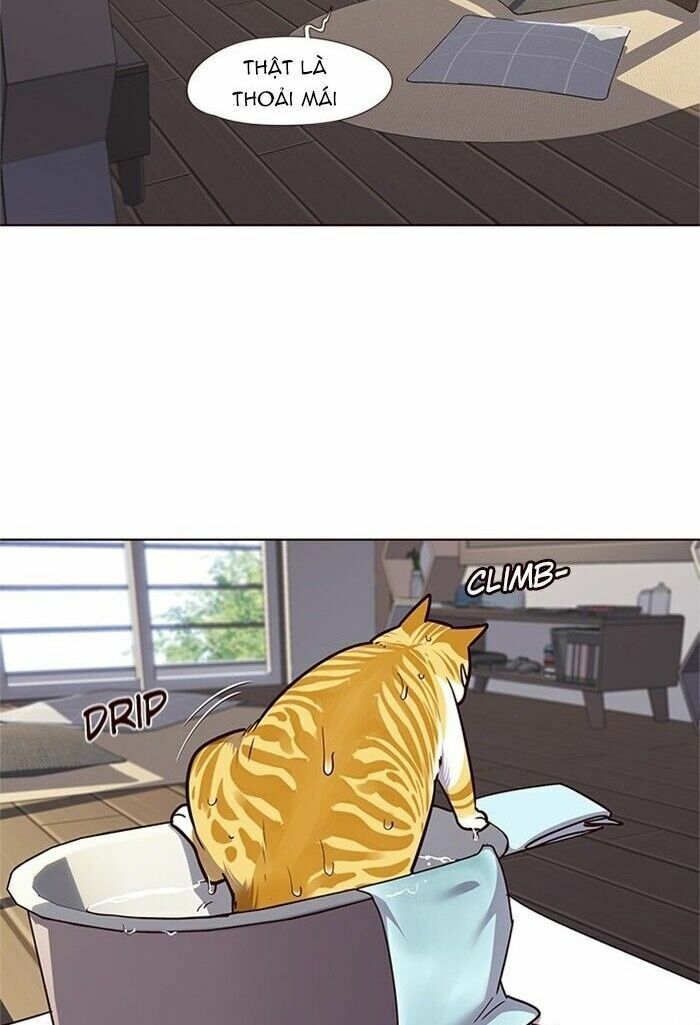 đọc truyện Hóa Thân Thành Mèo Chương 47 ảnh 33 tại Thiên Thai Truyện