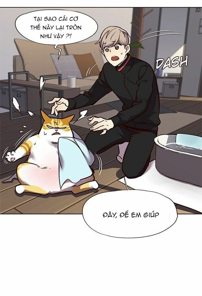 đọc truyện Hóa Thân Thành Mèo Chương 47 ảnh 35 tại Thiên Thai Truyện