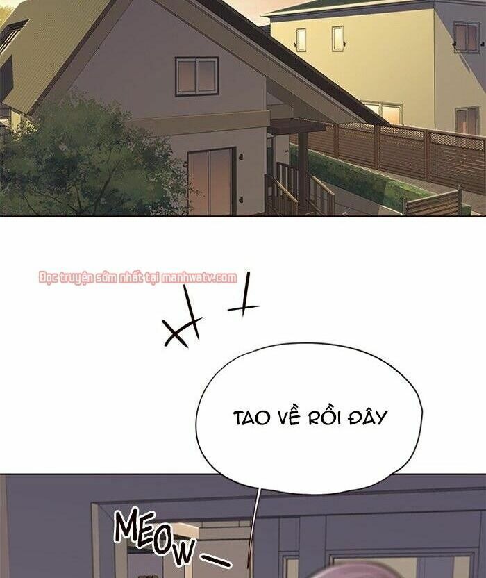 đọc truyện Hóa Thân Thành Mèo Chương 49 ảnh 75 tại Thiên Thai Truyện