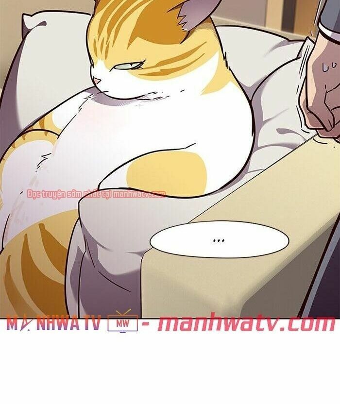 đọc truyện Hóa Thân Thành Mèo Chương 49 ảnh 80 tại Thiên Thai Truyện